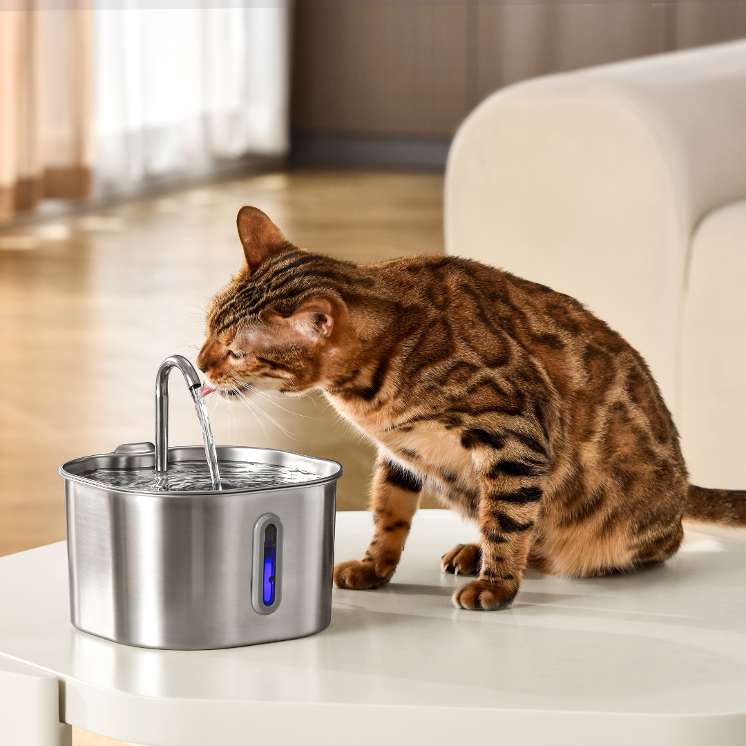 The KittyGush™ - 2.2L Fountain 2–month Kit