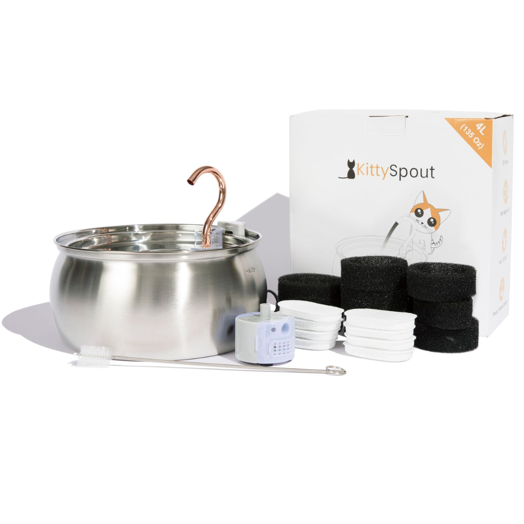 Hydration & Health Bundle