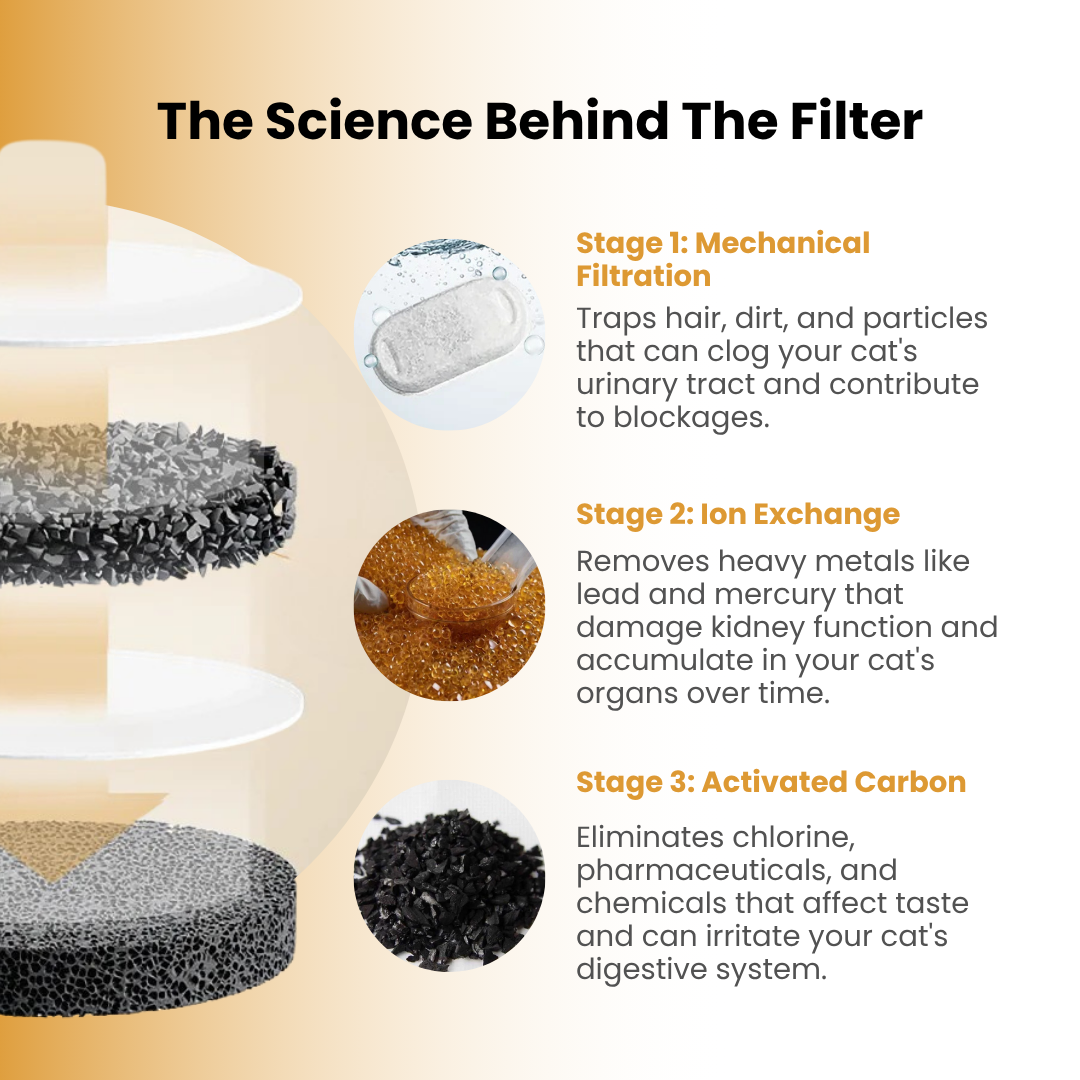 The KittyGush™ - Health & Happiness Cat Kit