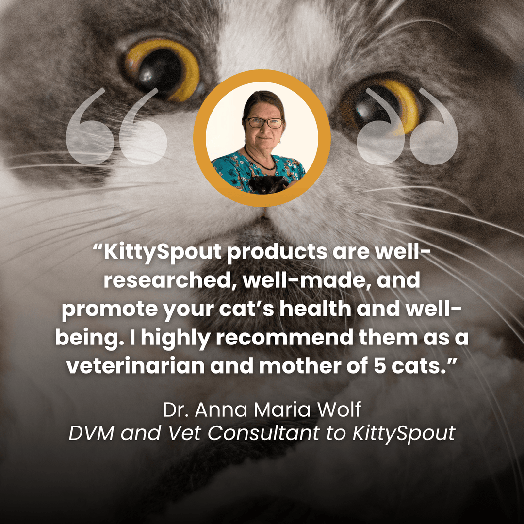 The KittyGush™ - Health & Happiness Cat Kit