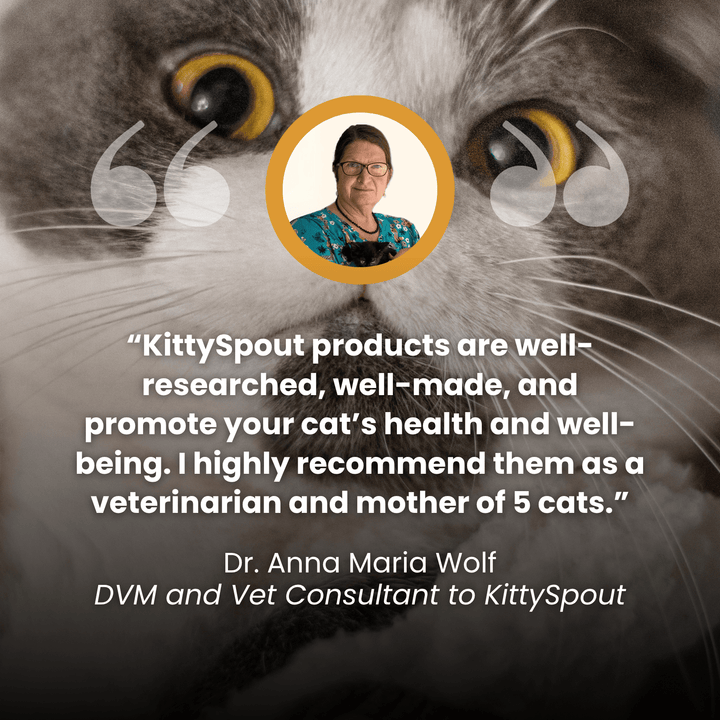 The KittyGush™ - Health & Happiness Cat Kit