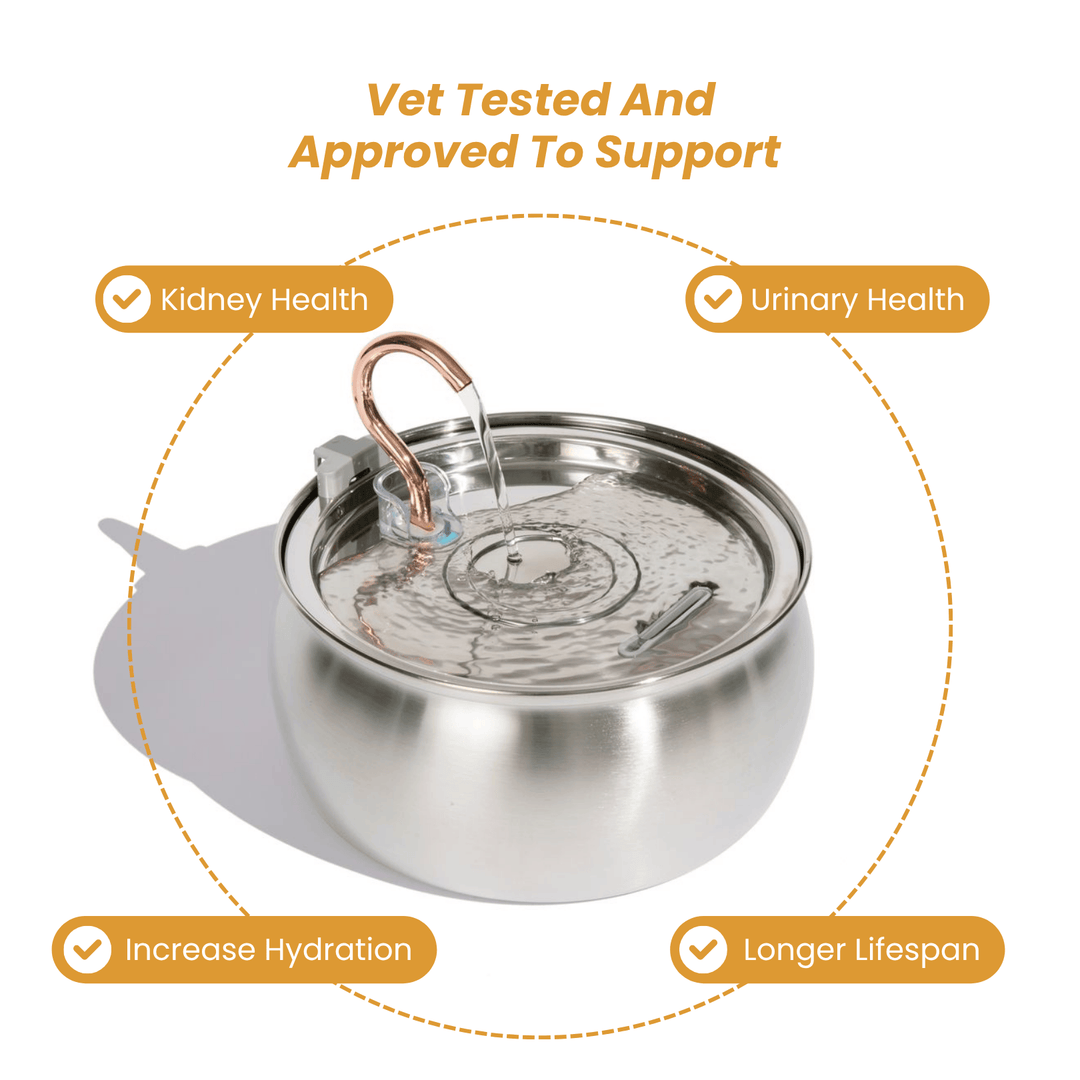 The KittyGush™ - Health & Happiness Cat Kit