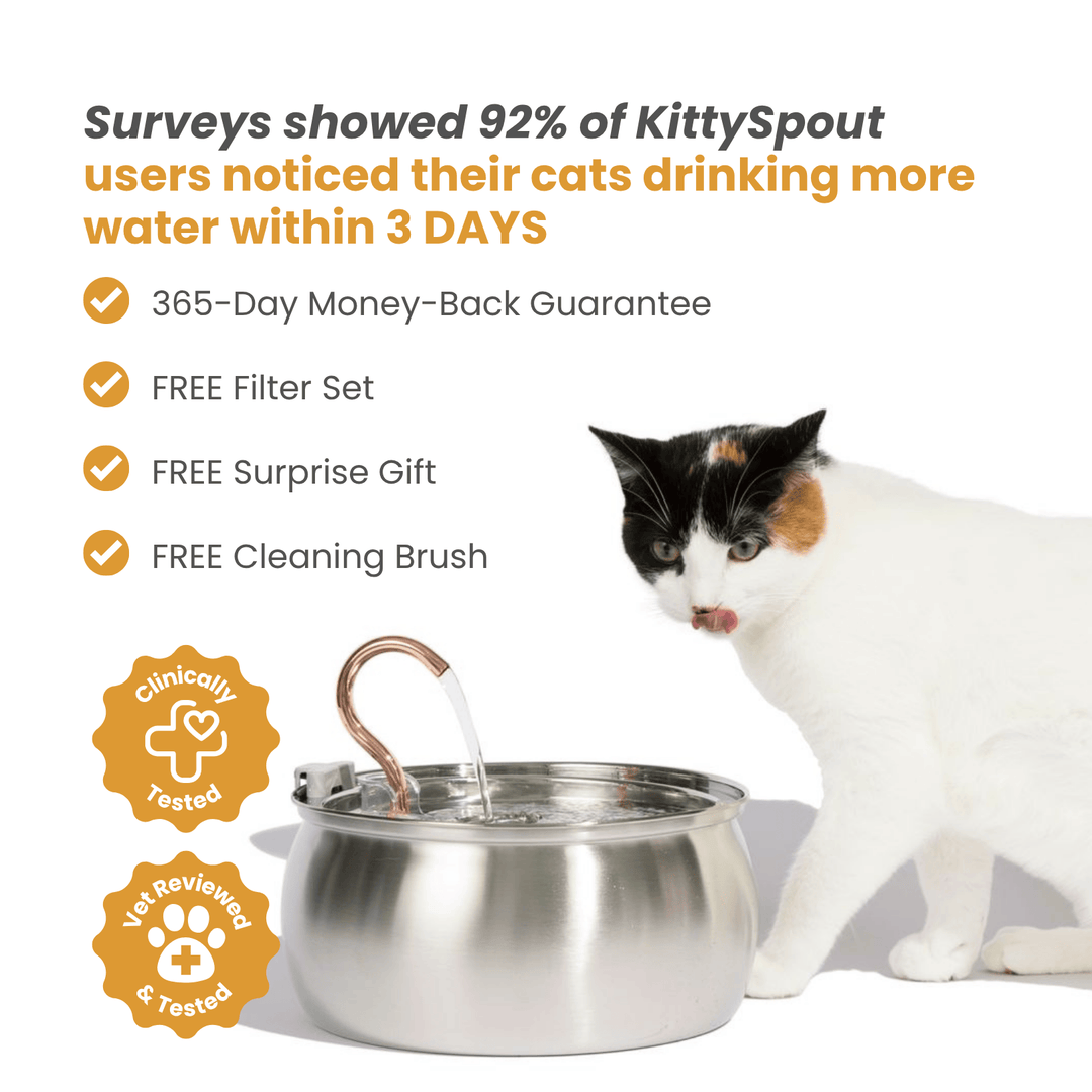 The KittyGush™ - Health & Happiness Cat Kit