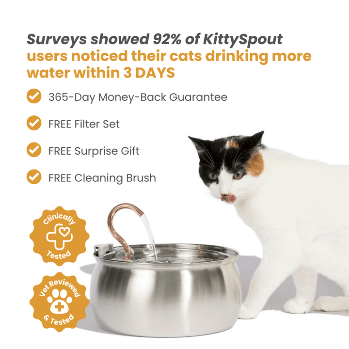The KittyGush™ - Health & Happiness Cat Kit