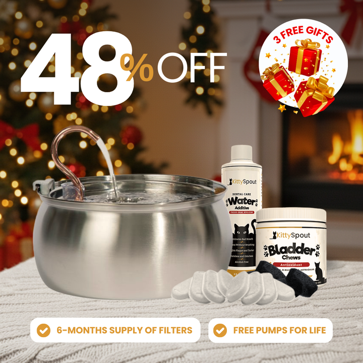 Hydration & Health Bundle