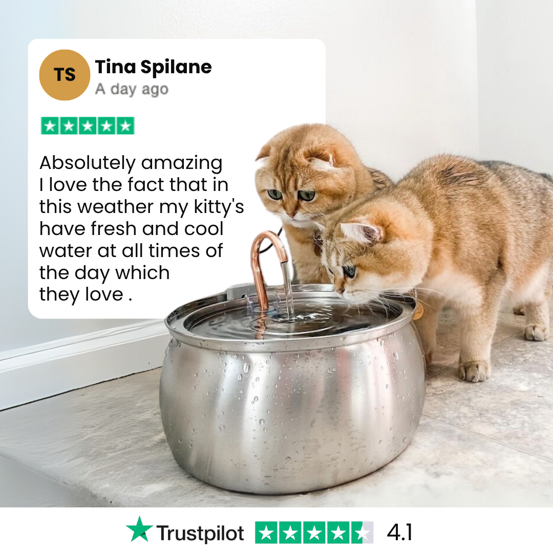 The KittyGush™ - Health & Happiness Cat Kit