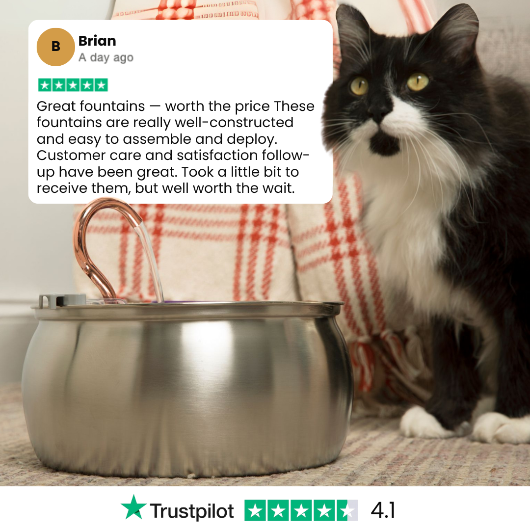 The KittyGush™ - Health & Happiness Cat Kit