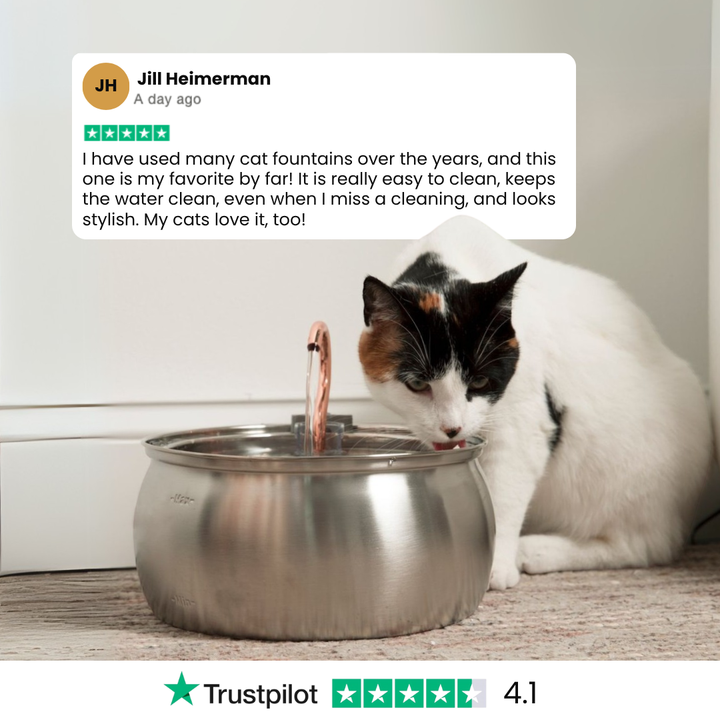 The KittyGush™ - Health & Happiness Cat Kit