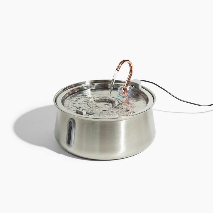 The KittySpout™ 2.0 - Health & Happiness Cat Kit