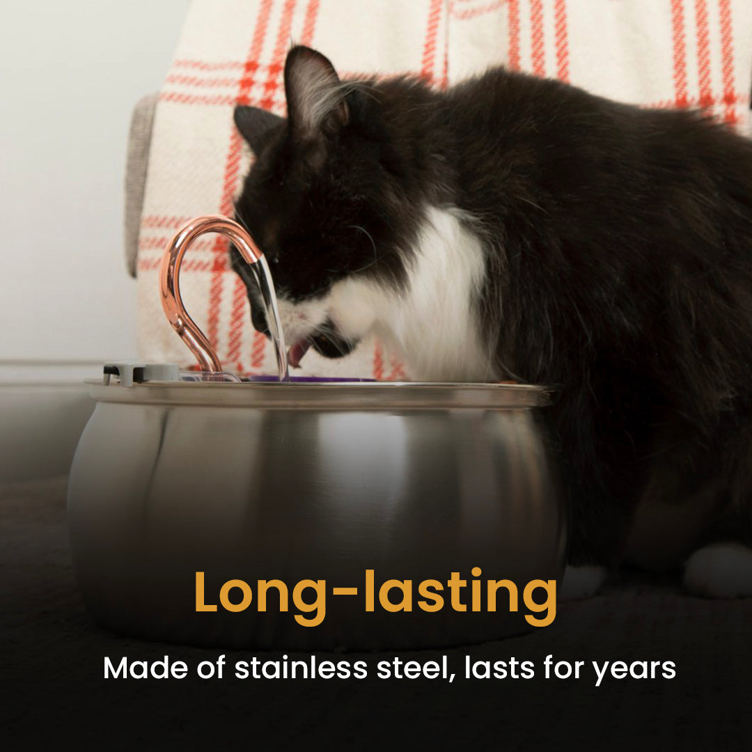 Hydration & Health Bundle