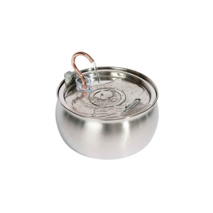 Hydration & Health Bundle