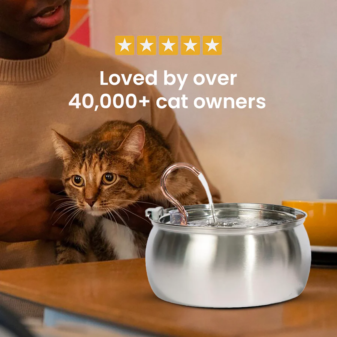 Hydration & Health Bundle