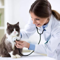 Vet Image